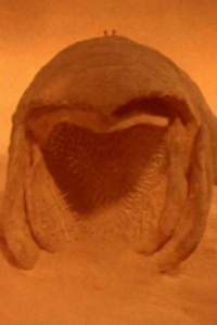Dune